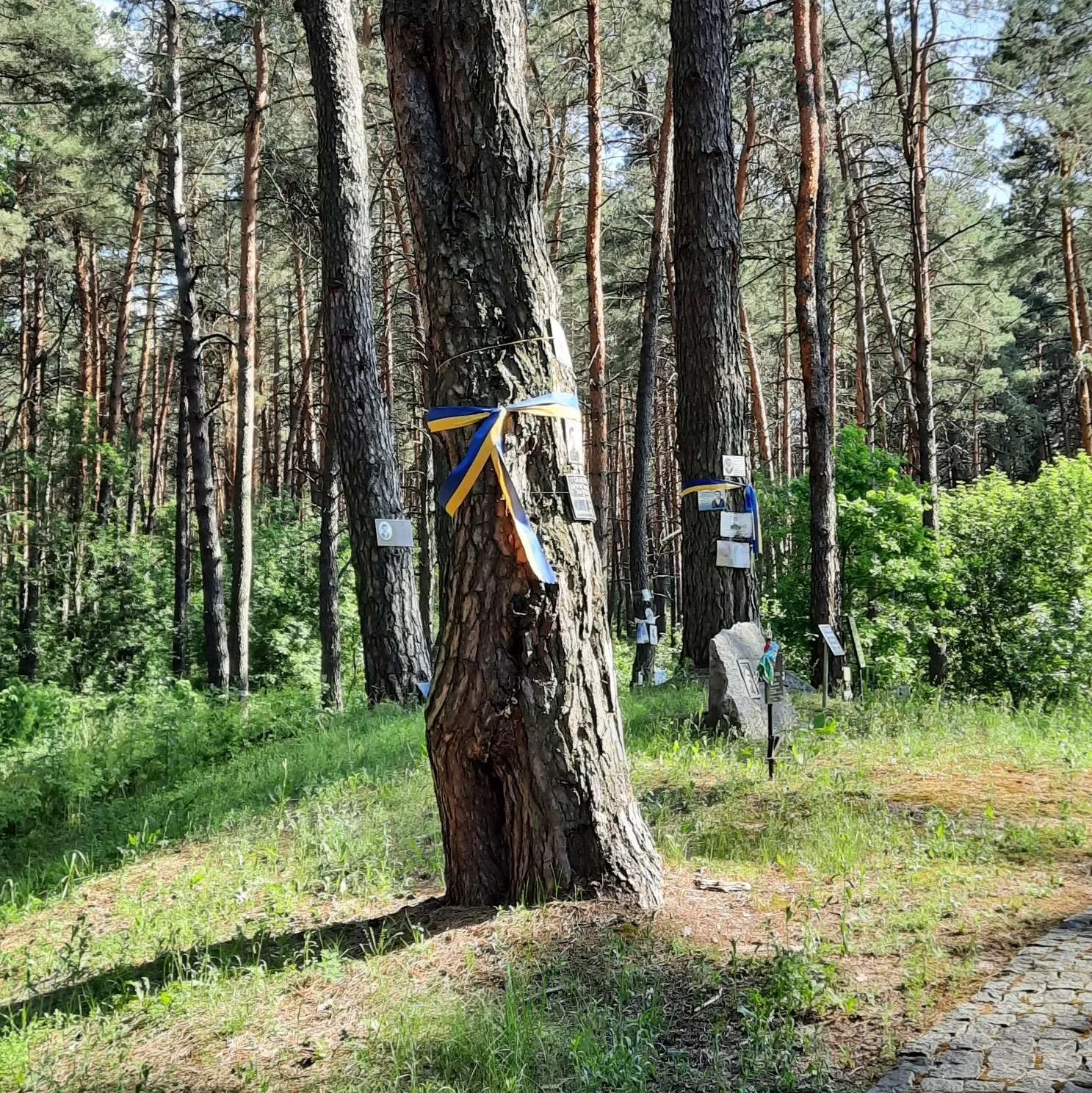 Мемориальный комплекс «Быковнянские могилы»
